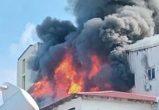 1.-Dhivehi-news-website-1-67-800x468