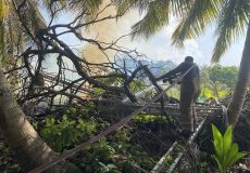 ފޮނަދޫ ދަނޑު ބިމުގައި އަލިފާން ރޯވެފައި. ފޮޓޯ: އެމްއެންޑީއެފް