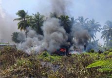 ތާރު ފީފާ ތަކުގައި އަލިފާން ރޯވެފައި. ފޮޓޯ: އެމްއެންޑީއެފް