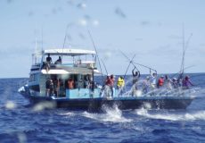 IMG-20260421-WA0084