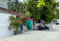 IMG_3653