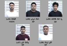 WhatsApp Image 2026-01-06 at 22.50.02