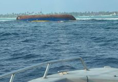 WhatsApp Image 2026-01-17 at 20.17.59