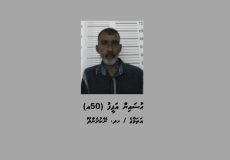 WhatsApp Image 2026-01-31 at 01.03.03