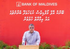 WhatsApp Image 2026-01-31 at 23.46.28