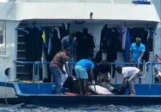 WhatsApp Image 2026-04-01 at 01.47.44