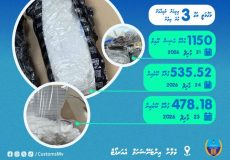 WhatsApp Image 2026-04-02 at 01.18.06