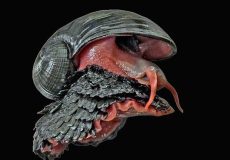 WhatsApp Image 2026-04-14 at 10.48.20