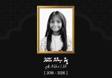 WhatsApp Image 2026-08-31 at 23.09.32