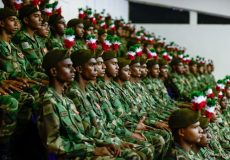 big_SANPz72OUkHbtV5dwULN8KeJR