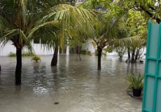 big_y7pvYIzWbaloZUC4FlxVs1qqg