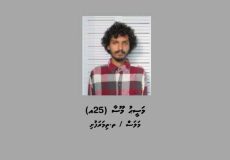 received-4045784242303638