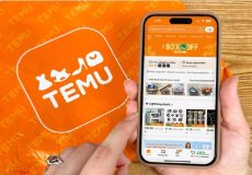 temu-seguridad