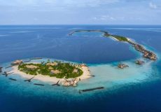 viber_image_2026-01-24_00-42-26-944